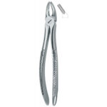 Extracting Forceps