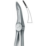 Extracting Forceps