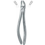 Extracting Forceps