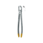 Extracting Forceps